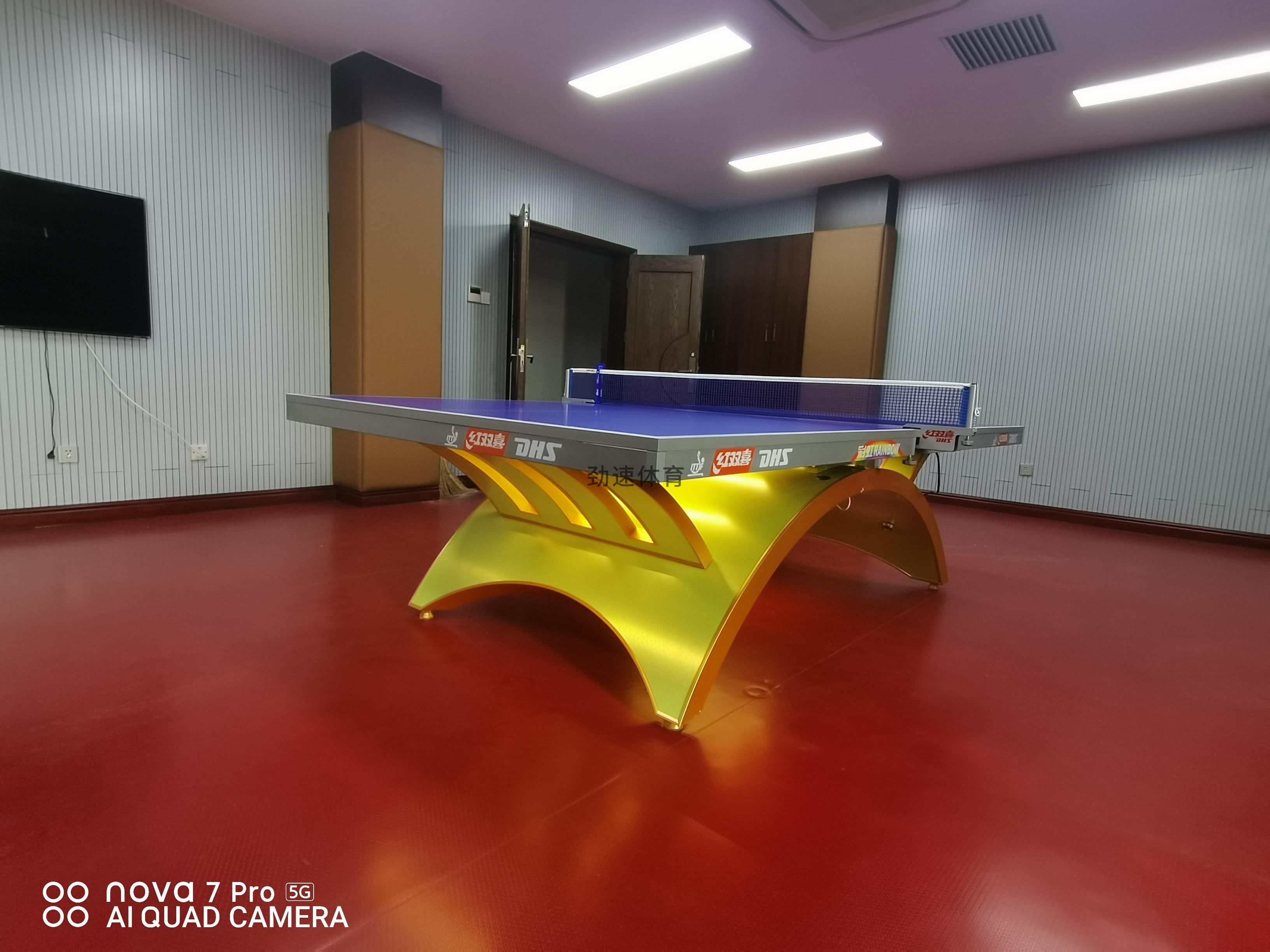 體育器材，紅雙喜乒乓球臺(tái)